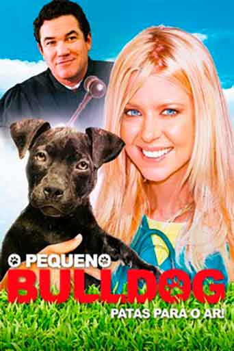 O Pequeno Bulldog Torrent (2020) Dublado – Download